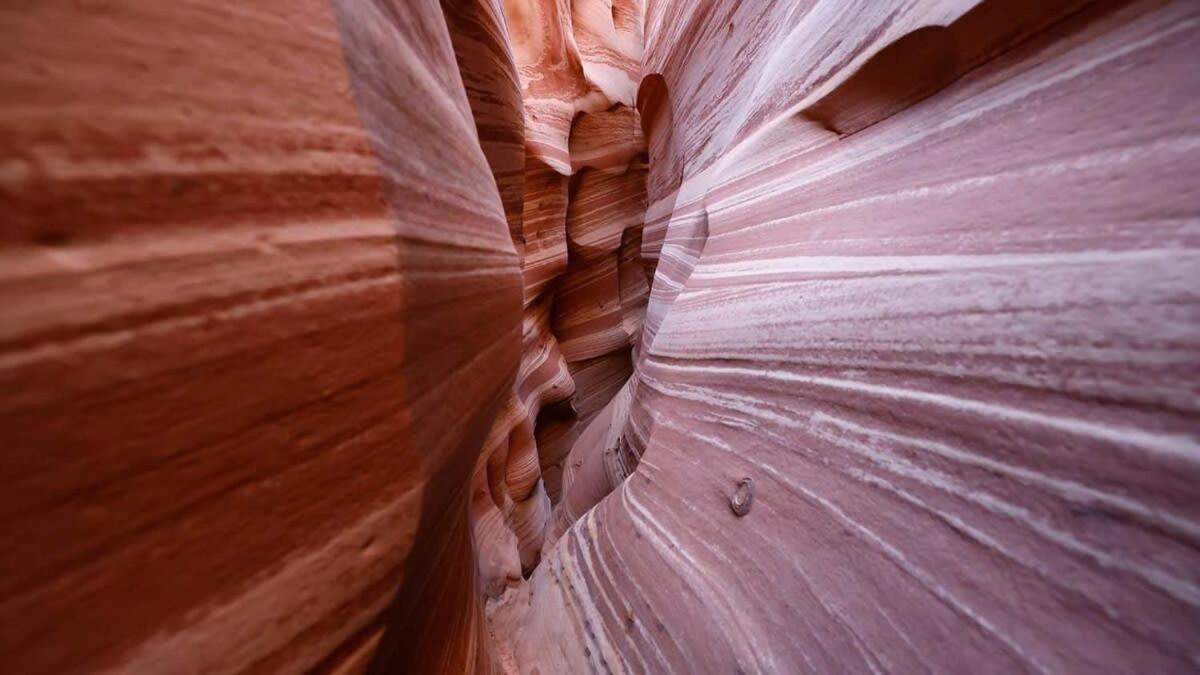 Holiday home Escapes Tumble Weed- Bunk Escape Escalante